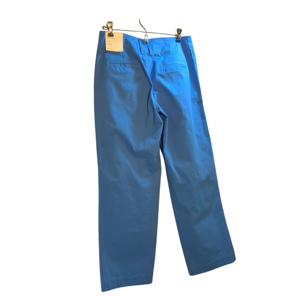 A New Day Hi Rise Cotton Ankle Pants in Robin’s Egg /Sky Blue Size 4 New! - Picture 2 of 4